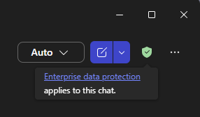 Enterprise app protection shield