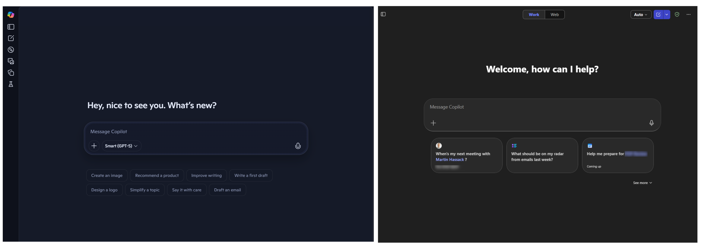 Copilot online versions